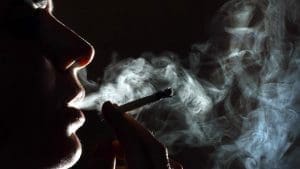 Read article: Cannabis is destroying young mouths faster than cigarettes