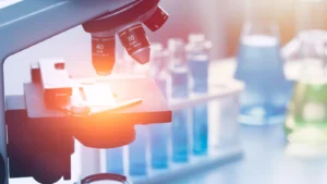 Read article: In the future teeth could be regrown in a lab